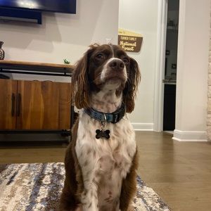 Meet your Posher, Sydney